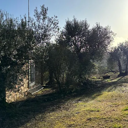 Llanos * Fuentes de León