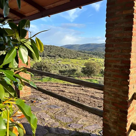 Llanos Fuentes de León