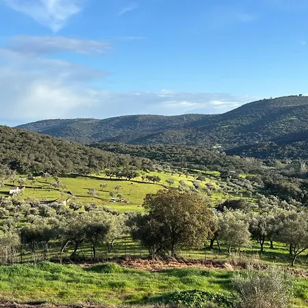 Chalet Llanos Fuentes de León