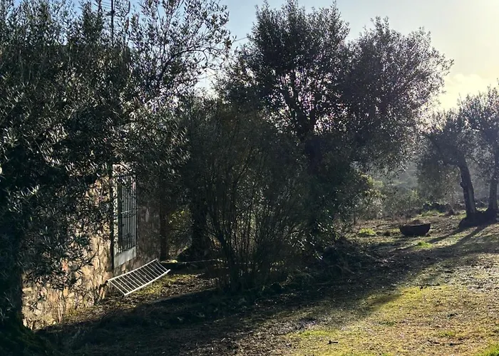 Llanos * Fuentes De Leon