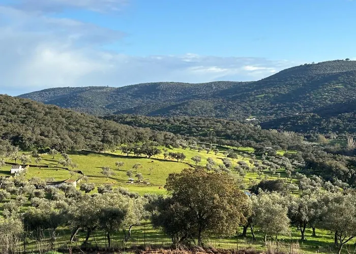 Chalet Llanos Fuentes De Leon