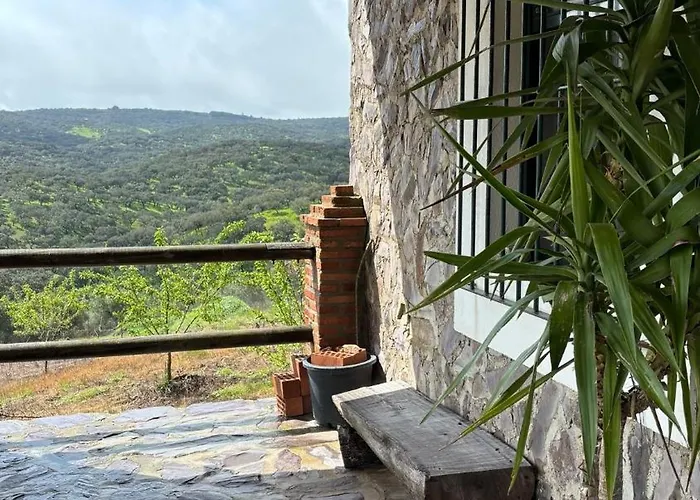 Llanos Fuentes De Leon