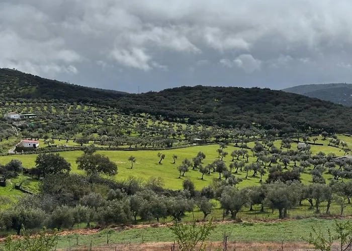 Llanos * Fuentes De Leon